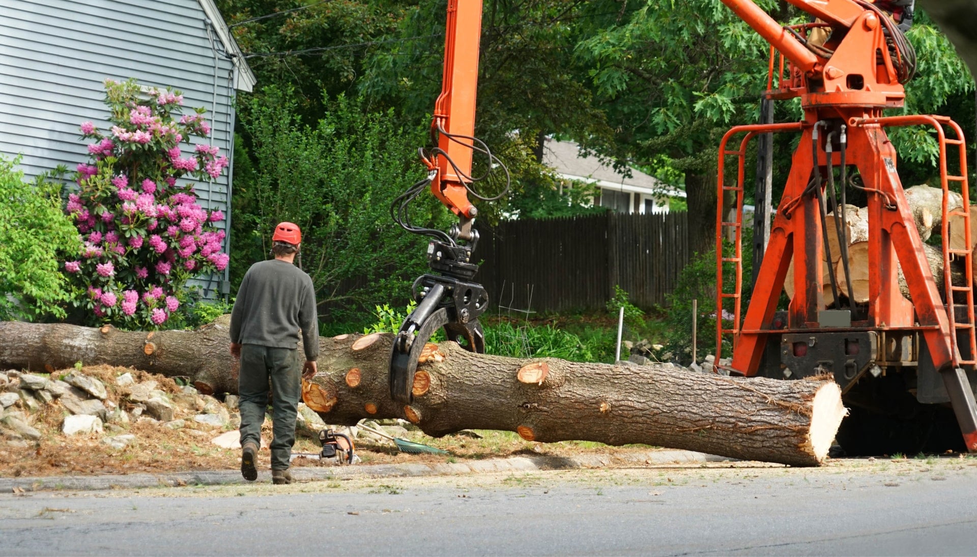 Local partner for Tree removal services in Kernersville
