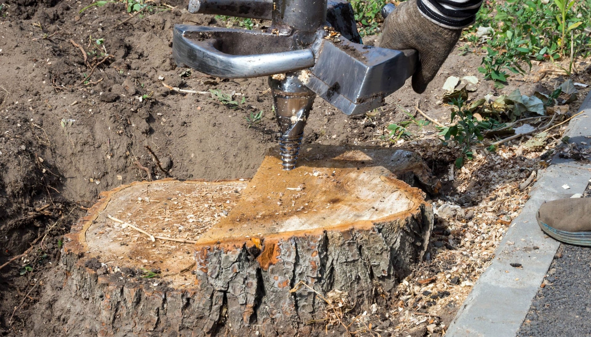 Kernersville Tree stump removal